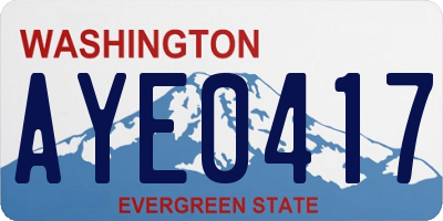 WA license plate AYE0417