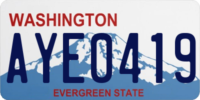 WA license plate AYE0419