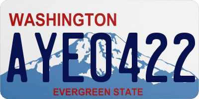 WA license plate AYE0422