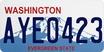 WA license plate AYE0423