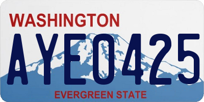 WA license plate AYE0425