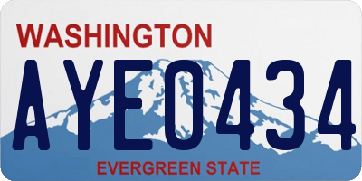 WA license plate AYE0434