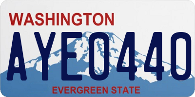 WA license plate AYE0440