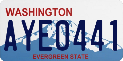 WA license plate AYE0441