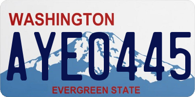 WA license plate AYE0445