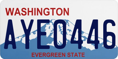 WA license plate AYE0446