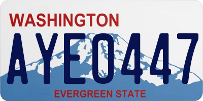 WA license plate AYE0447