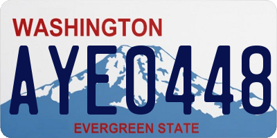 WA license plate AYE0448