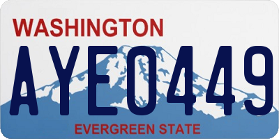 WA license plate AYE0449