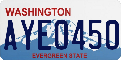 WA license plate AYE0450