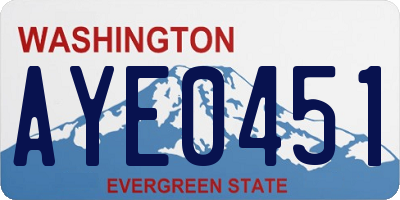 WA license plate AYE0451