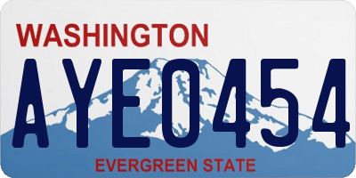 WA license plate AYE0454