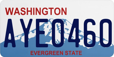 WA license plate AYE0460