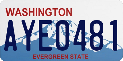 WA license plate AYE0481