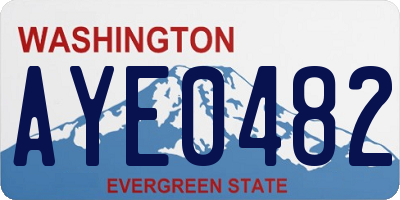 WA license plate AYE0482
