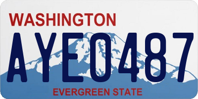WA license plate AYE0487