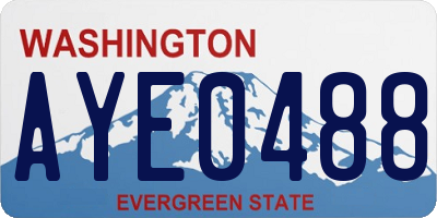 WA license plate AYE0488