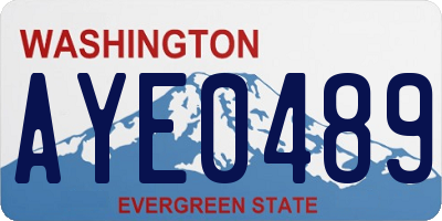 WA license plate AYE0489