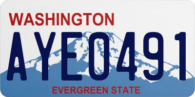 WA license plate AYE0491