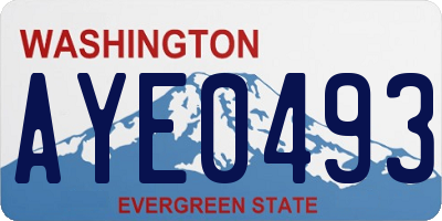 WA license plate AYE0493