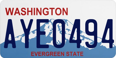 WA license plate AYE0494