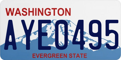 WA license plate AYE0495