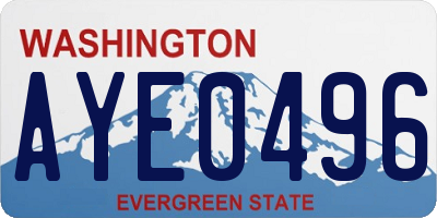 WA license plate AYE0496
