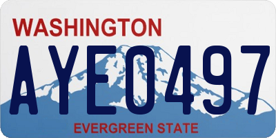 WA license plate AYE0497
