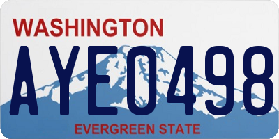 WA license plate AYE0498