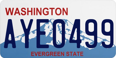 WA license plate AYE0499