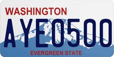 WA license plate AYE0500