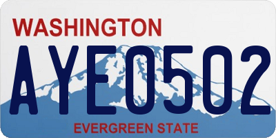 WA license plate AYE0502