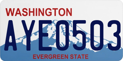 WA license plate AYE0503
