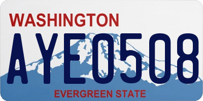 WA license plate AYE0508