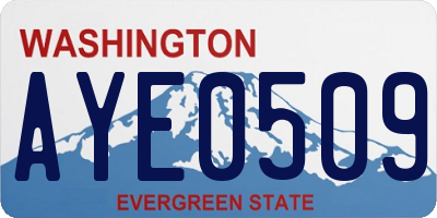 WA license plate AYE0509