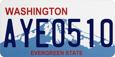 WA license plate AYE0510