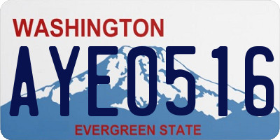 WA license plate AYE0516