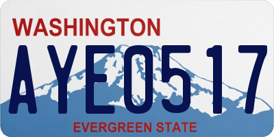 WA license plate AYE0517