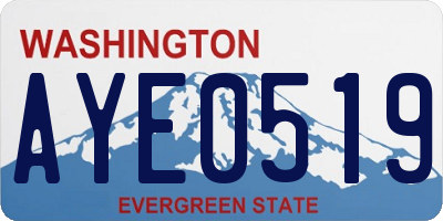 WA license plate AYE0519