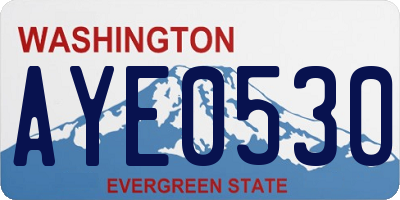 WA license plate AYE0530