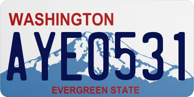 WA license plate AYE0531