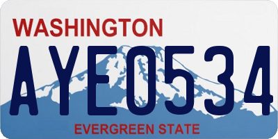 WA license plate AYE0534