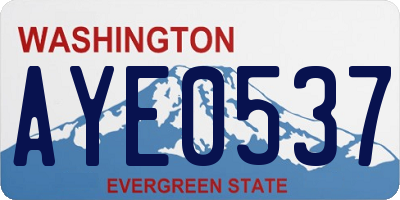 WA license plate AYE0537