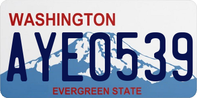 WA license plate AYE0539