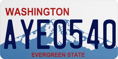 WA license plate AYE0540