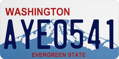 WA license plate AYE0541