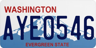WA license plate AYE0546