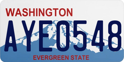 WA license plate AYE0548