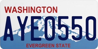 WA license plate AYE0550