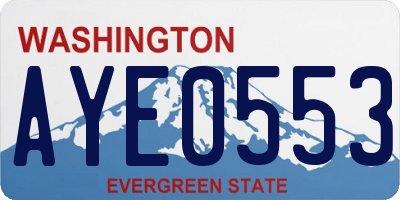 WA license plate AYE0553